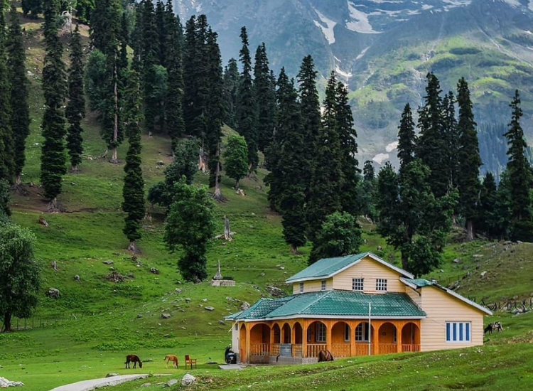 Du lịch Kashmir